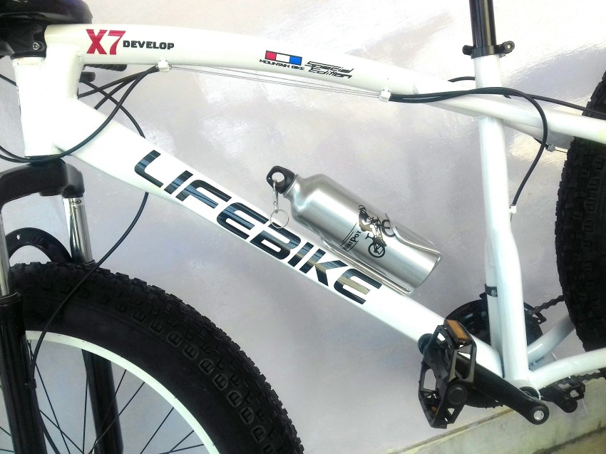 Lifebike best sale foldable bike