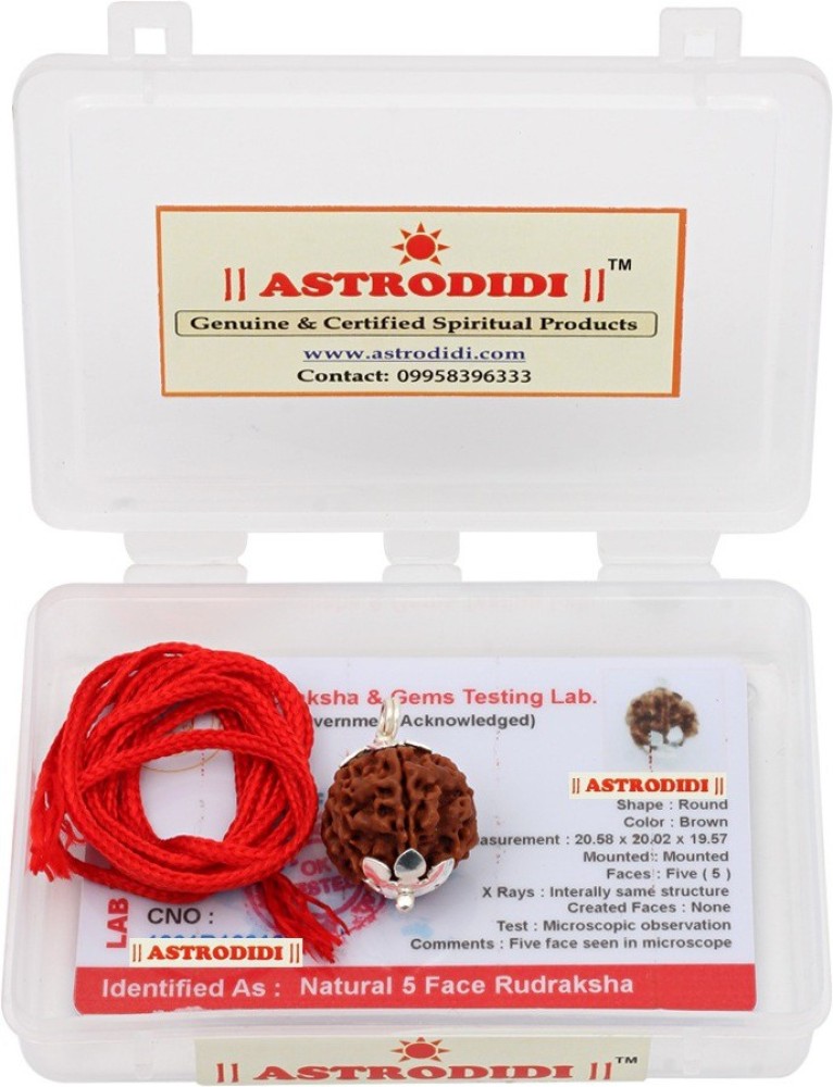 Astrodidi rudraksha 2025