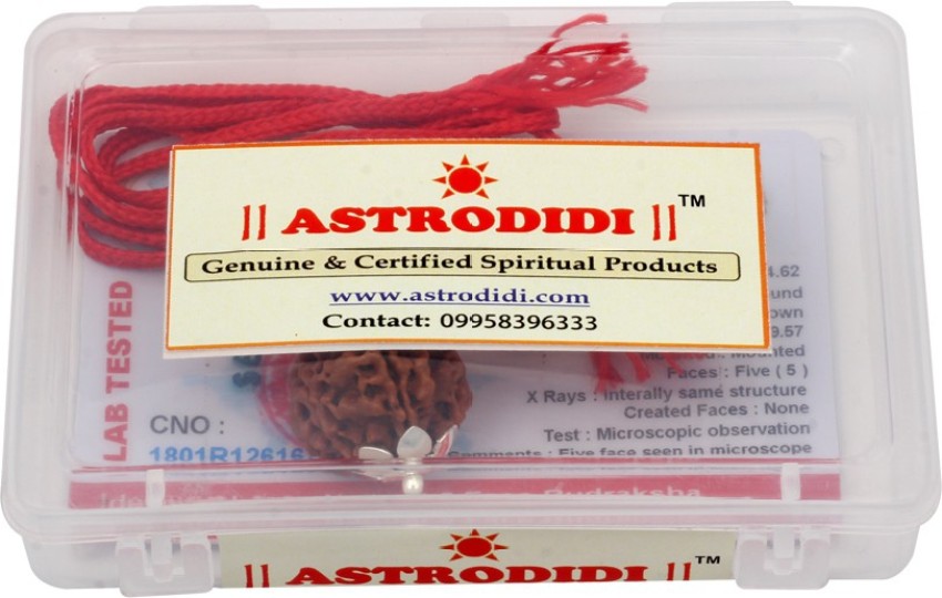 Astrodidi rudraksha 2025