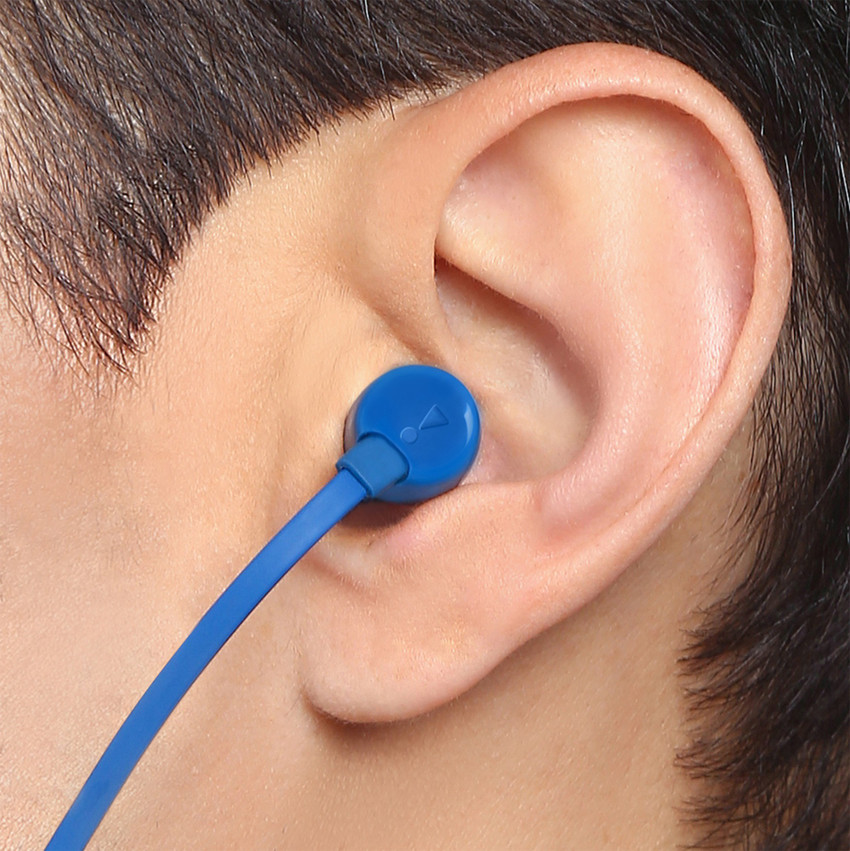 Jbl t110 flipkart sales