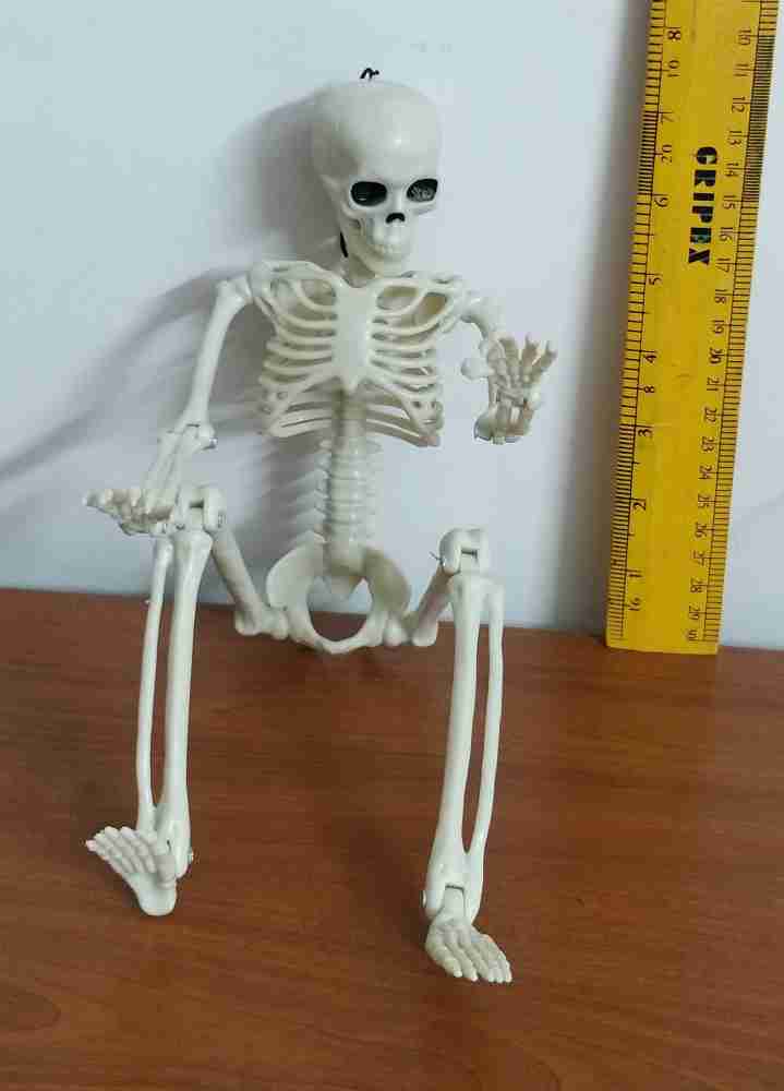 Skeleton toys sales for sale