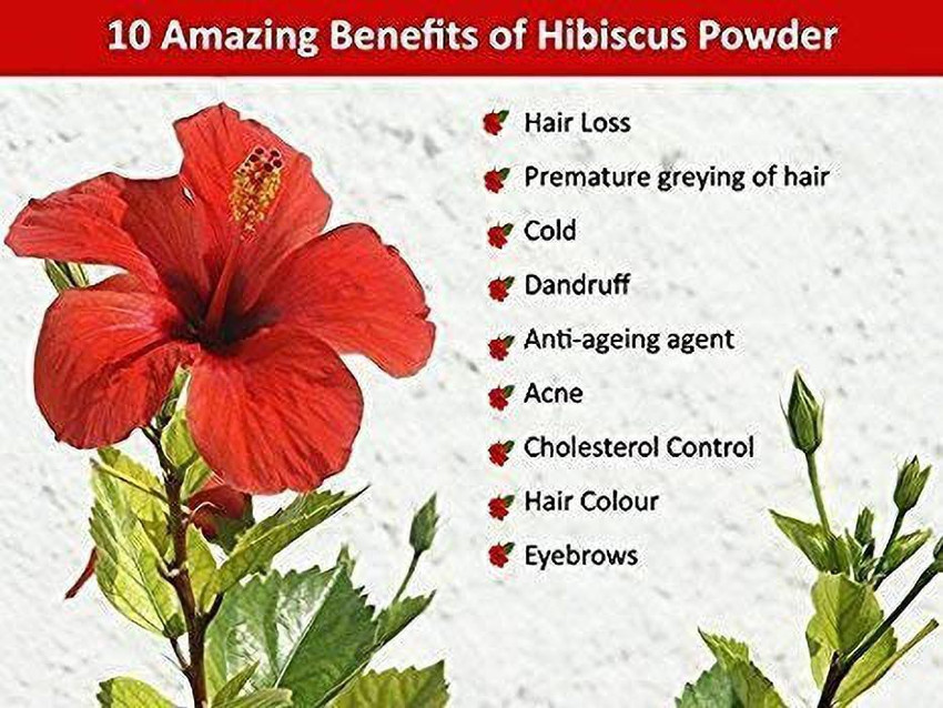 Details 116+ hibiscus flower for hair growth super hot tnbvietnam.edu.vn