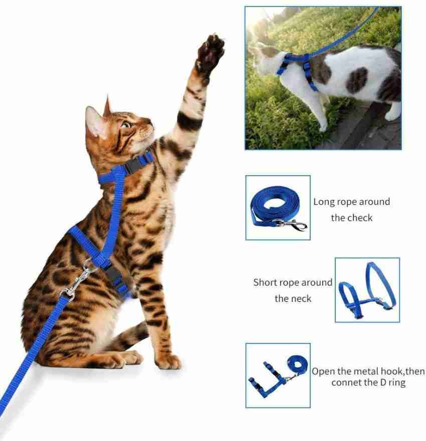 Chain collar outlet for cats