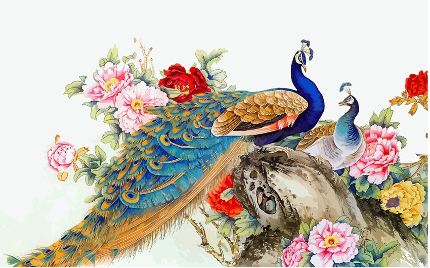 Peacock sticker outlet