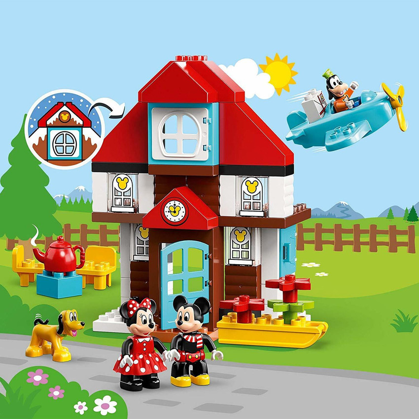 Mickey discount vacation house