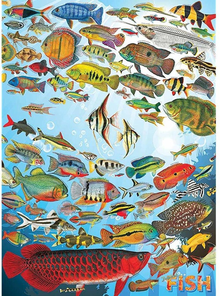 Cobble Hill 1000 Piece Puzzle - Hooked on Fishing - Sample Poster Included