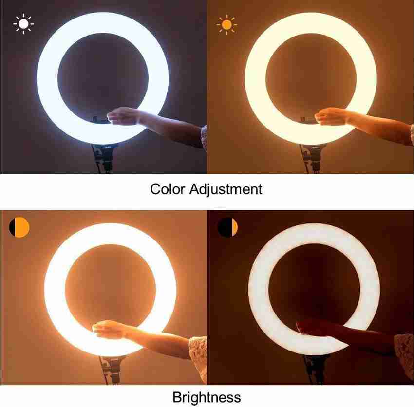 LINCTECH LED Ring Light for Camera Smartphone to Capture Your Photo and Video at Tiktok Musically and Other Ring Flash LINCTECH Flipkart