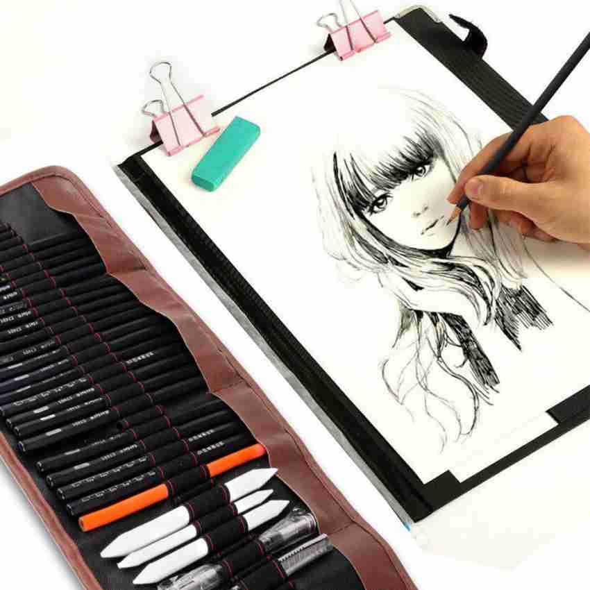 Definite White Color Charcoal Pencil for Expressive  Portrait, Drawings, Shading on Black Tinted Paper Perfect for Beginners and  Professionals, Students and Adults Round Shaped Color Pencils 