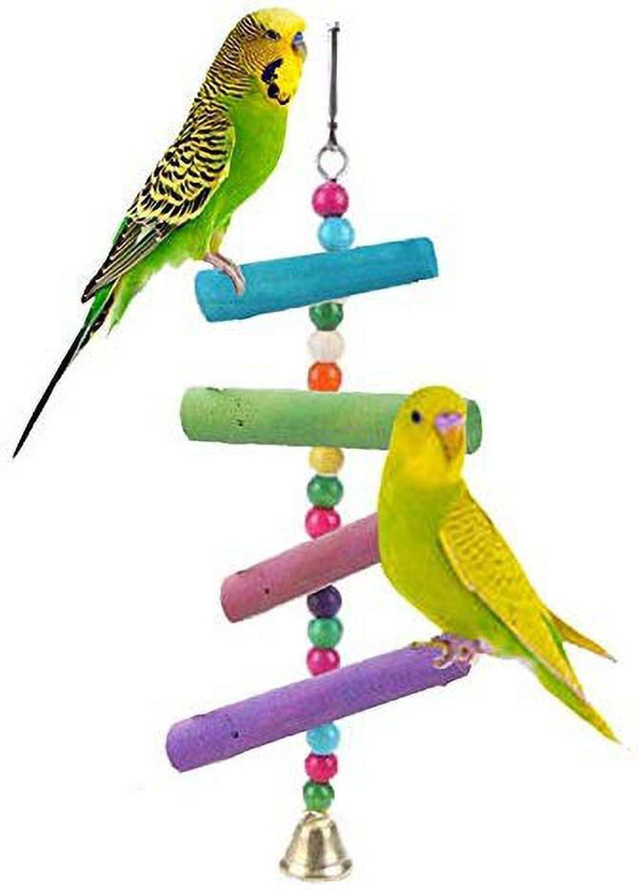 Canary shop bird accessories