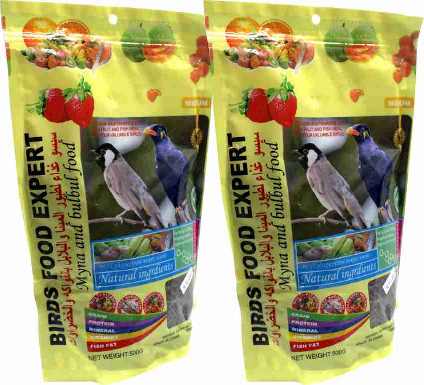 Mynah bird food supplies 2025