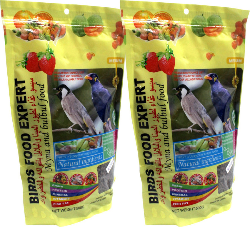 Mynah bird outlet food supplies
