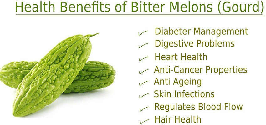 Rawmest Natural Karela Momordica Charantia Bitter Gourd Powder Price in India Buy Rawmest Natural Karela Momordica Charantia Bitter Gourd Powder online at Flipkart
