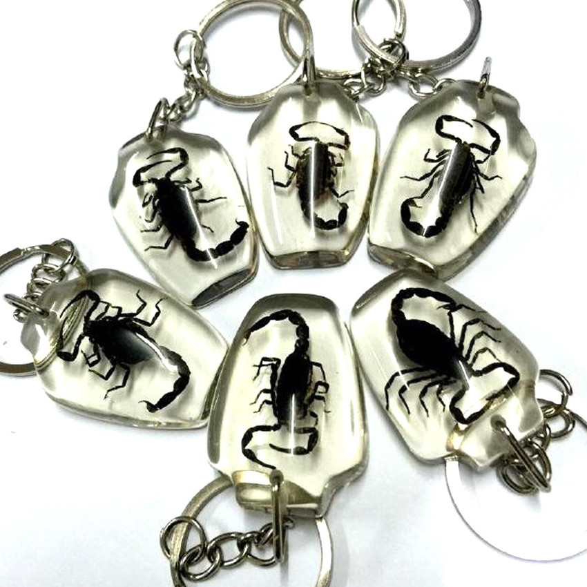 Scorpion keyring sale