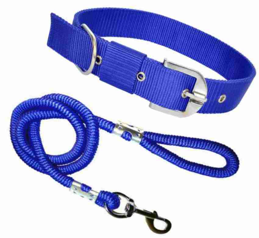 Blue dog clearance collar and lead