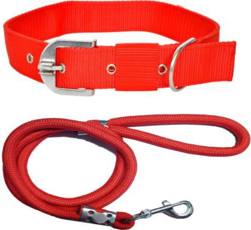 B and m top dog leads