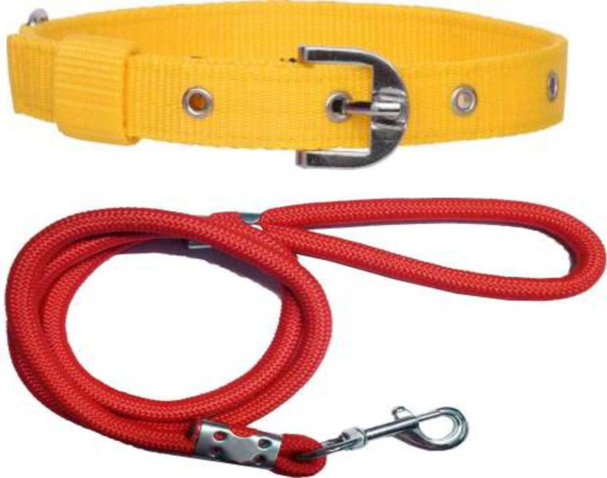 B and m top dog leads