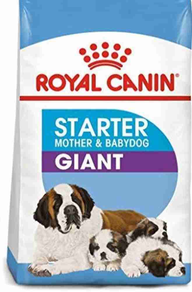 Royal canin giant starter 2024 mother and baby dog