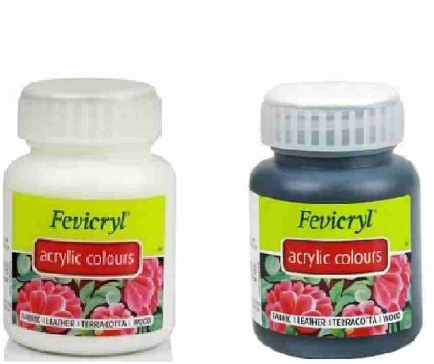 Fevicryl Monochrome Acrylic Colours 100 ml each - Art Set