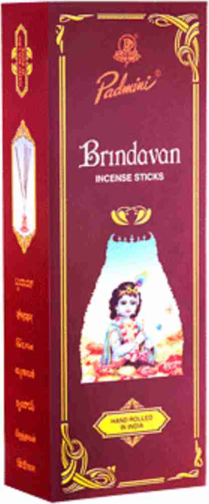 Padmini Spiritual Guide Incense (25 packs of 8 Sticks)