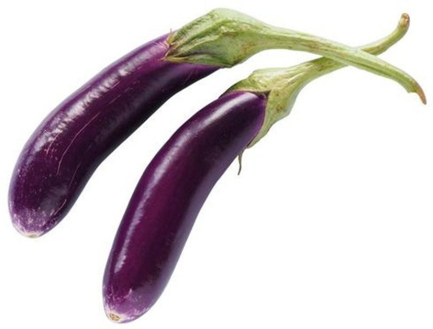 Buy Seeds Mixed Eggplant, Aubergine, Guinea Squash, Brinjal