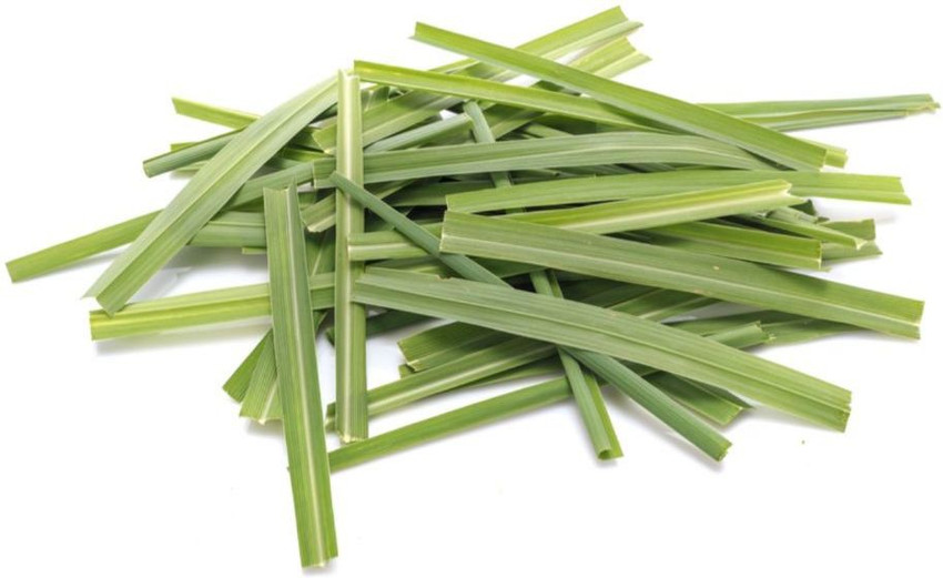 Lemongrass leave outlet