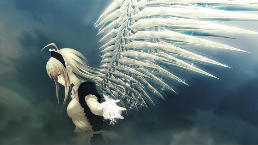 Cute anime girl with wings Wallpapers Download  MobCup