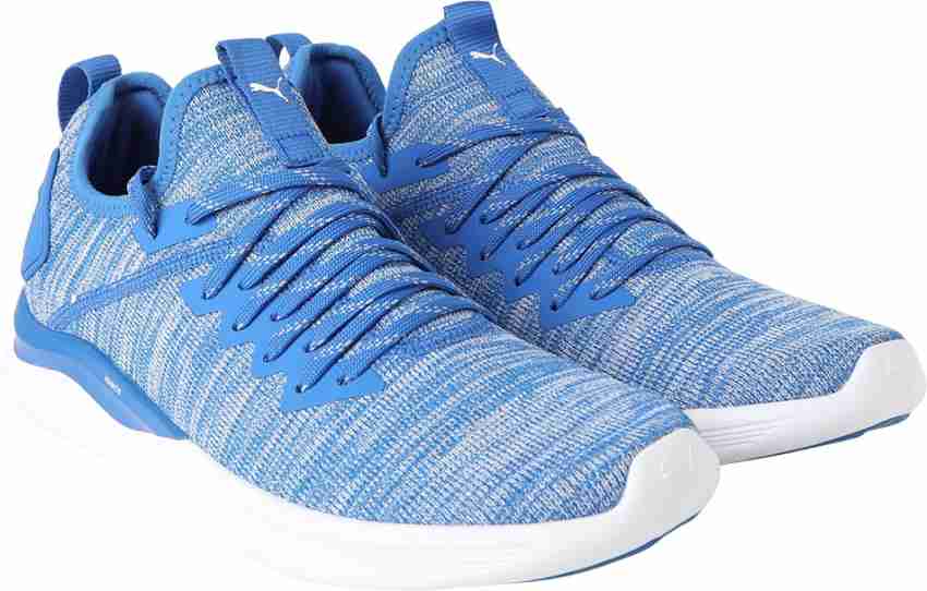 Puma ignite flash hot sale evoknit blue