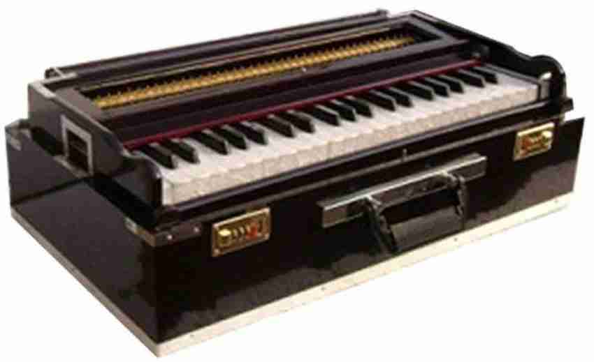 PAL Music House 9 Stopper Portable Chudidaar Bellow 42 Key 2