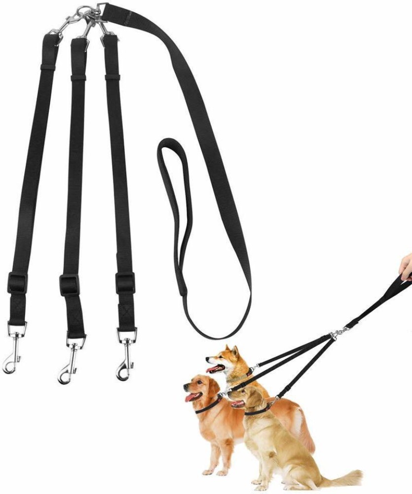 Dog leash discount online india