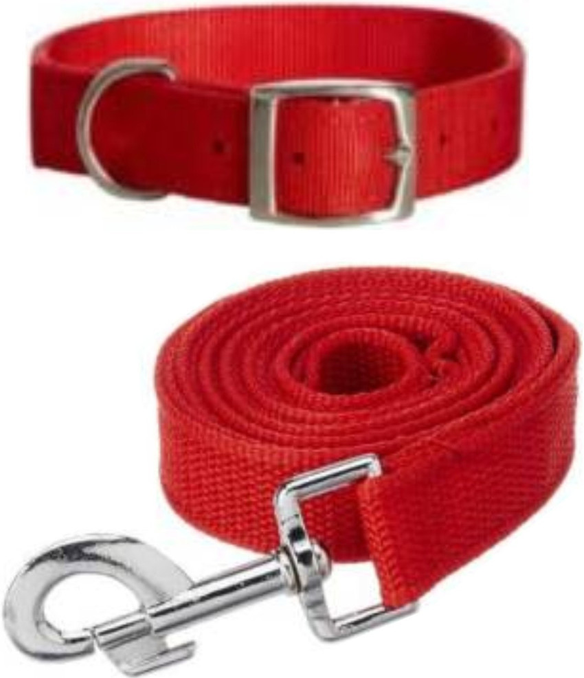 BODY BUILDING Dog Collar Belt for Dog Dog Collar Leash Price in