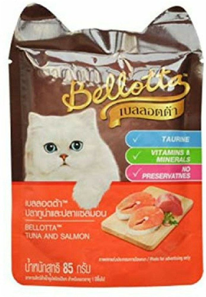 Cat food online flipkart 2025
