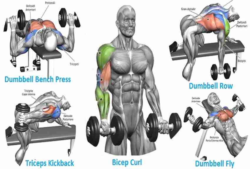 10 kg best sale dumbbell exercises