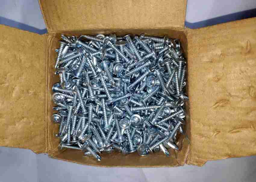RKGD Iron Washer Head Self-drilling Screw Price in India - Buy RKGD Iron  Washer Head Self-drilling Screw online at