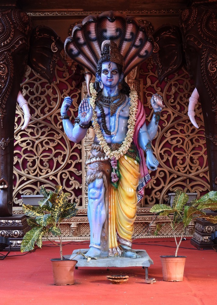 Hindu Snake Goddess