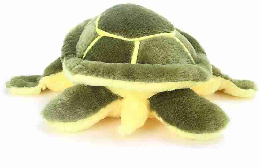 Tortoise teddy sale