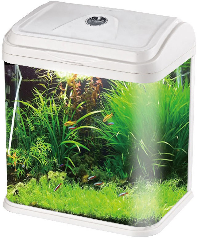 Fish tank outlet online flipkart