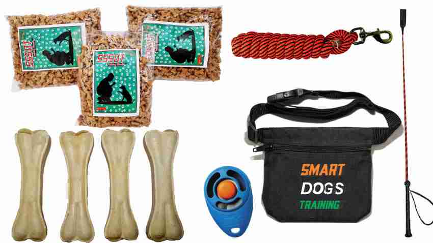 Smart best sale dog trainer