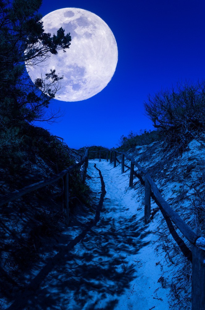 a beautiful moon at night, moon quotes, wall poster, romantic poster