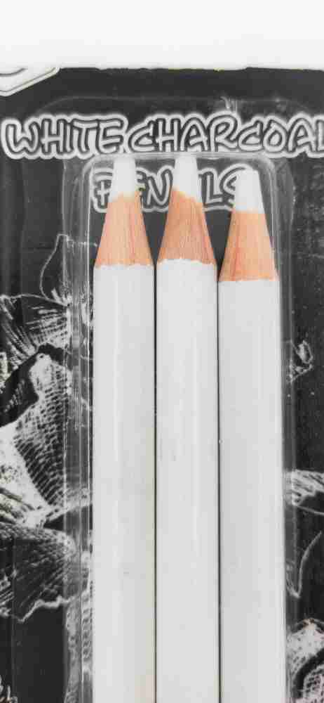 Definite White Color Charcoal Pencil for Expressive  Portrait, Drawings, Shading on Black Tinted Paper Perfect for Beginners and  Professionals, Students and Adults Round Shaped Color Pencils 