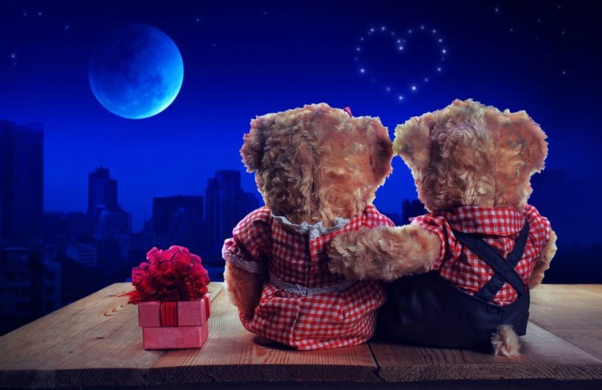 romantic teddy bear