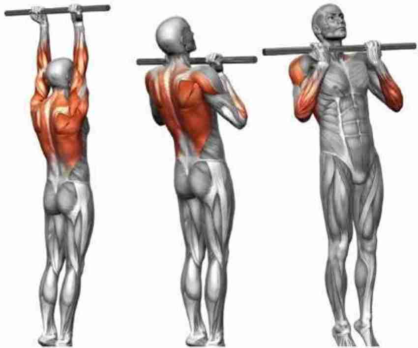 Chin up discount bar workouts