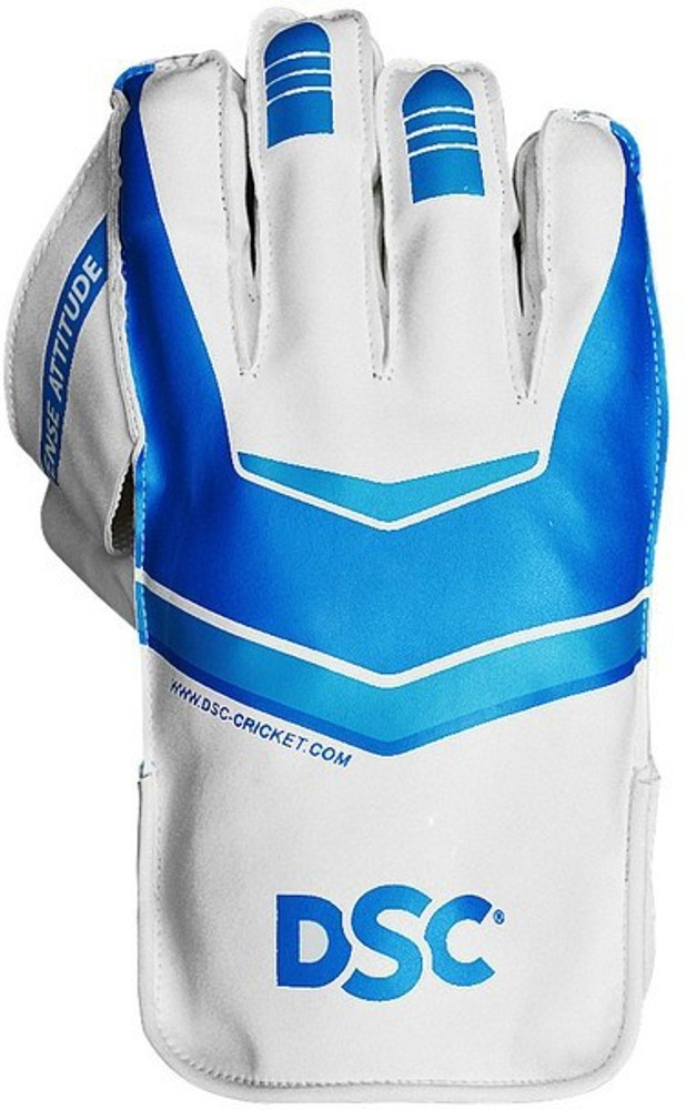 DSC Intense Attitud Wicket Keeping Gloves Buy DSC Intense