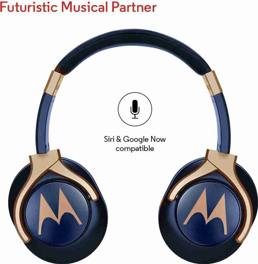 Moto pulse top 3 max