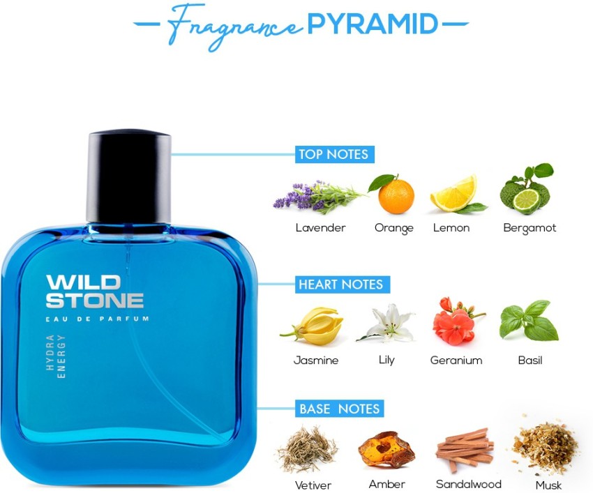 Buy Wild Stone Hydra Energy Premium Eau De Parfum for Men, 100ml