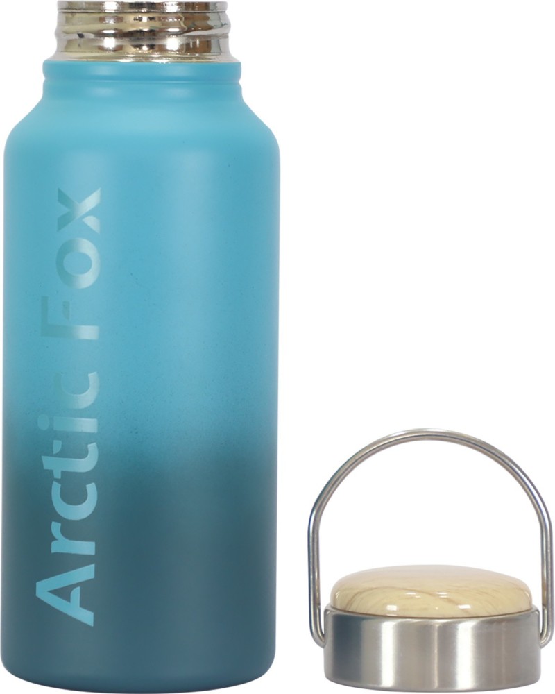 Arctic Fox in The Snow Stainless Steel Water Bottle with Lid Insulated  Bottle for Travel Sports