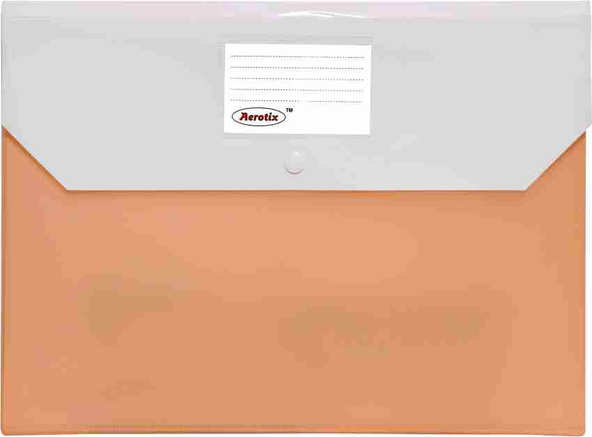 Aerotix Polypropylene My Clear Bag File Folder With  