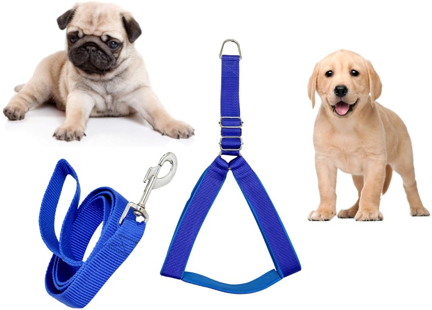 Puppy body hot sale harness