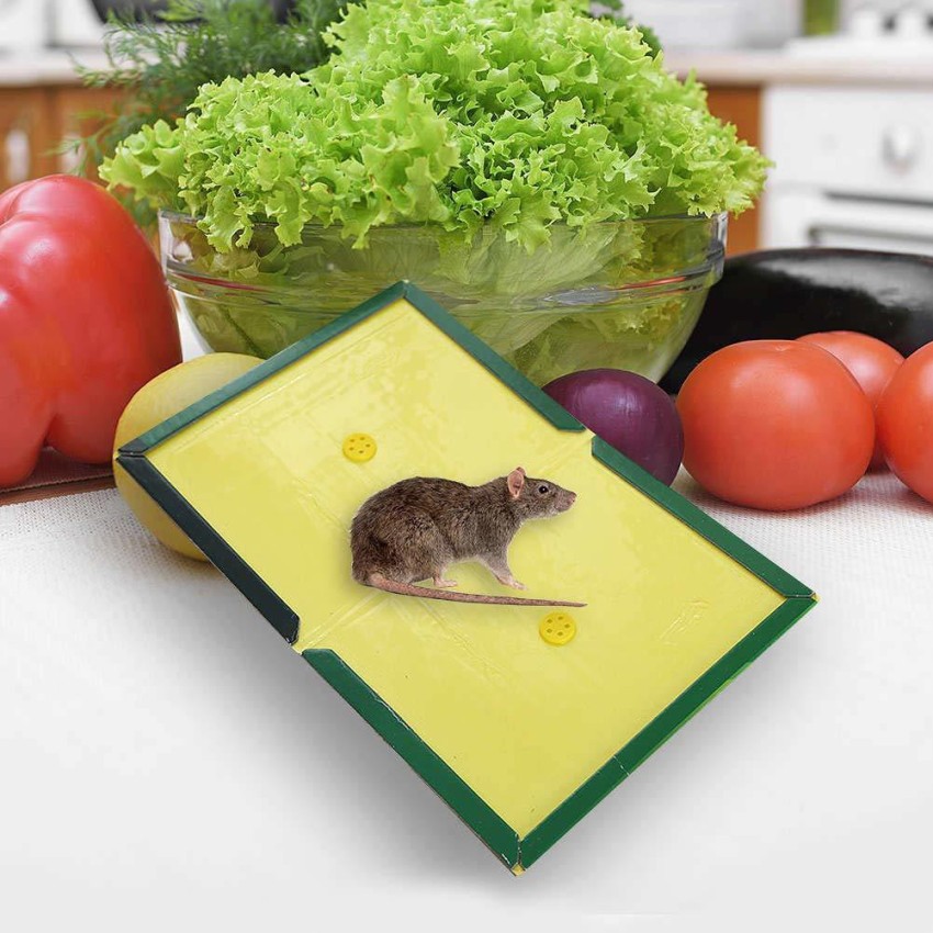 soniya enterprises Mouse & Rat Trap Sticky Glue Pad Set of 2 ( Size:  16.7cms x 24cm) Snap Trap Snap Trap Price in India - Buy soniya enterprises  Mouse & Rat Trap