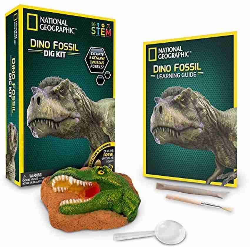 Paleontology kits online for kids