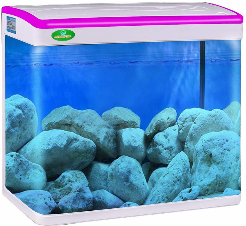 Jainsons aquarium new arrivals